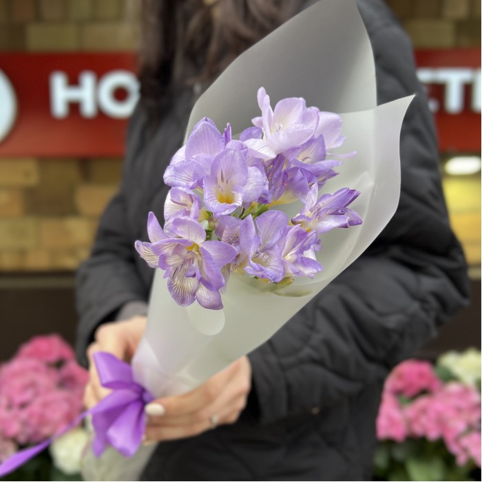 5 фиолетовых фрезий